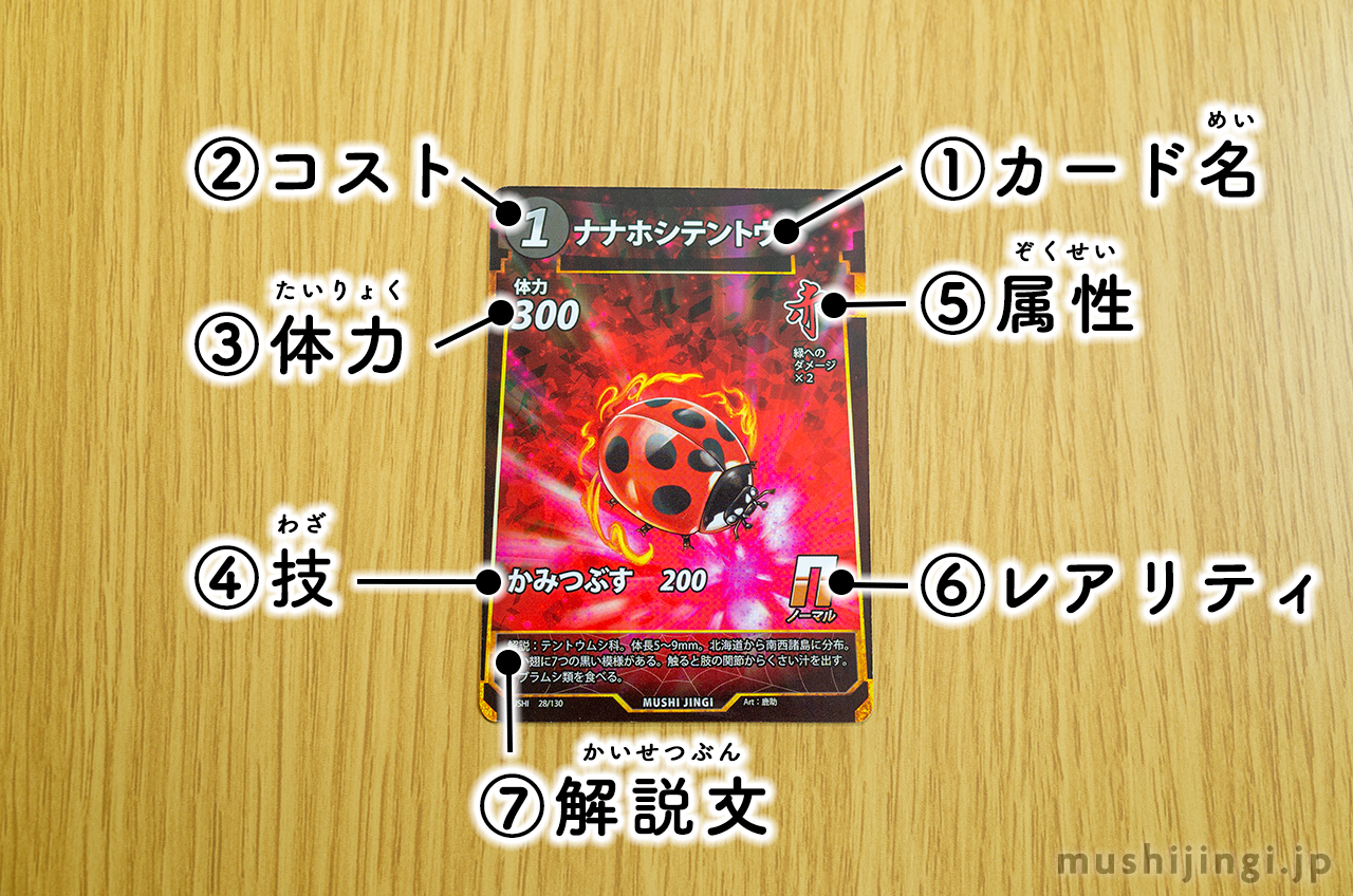 カードの見方